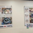 닭한마리 이미지