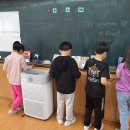 대구월촌초등학교 이미지