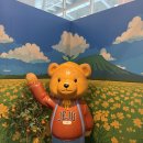 각이진별 | 비와도 즐거운 6월의 제주