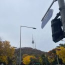 작은하늘 | 아기와 남산 하늘숲길 다녀 온 후기