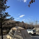 포천제일오토카센타 | 포천 울미숲 오토캠핑장 추운 겨울 2박3일 캠핑 후기 (버드나무존)