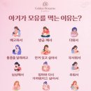 유니맘 네이버블로그