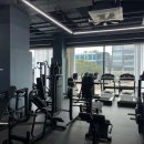 짐승Fitness 이미지