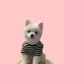 송댕송댕 이미지