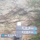 Q사랑염색방 이미지