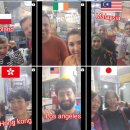 매일 꽃 | 제주 여행 필수 코스! 매일올레시장 '메밀꽃치킨' 정복 후기