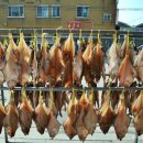 [강원 동해]동해안 제1의 어업 전진기지 목호항에서 먹는 싱싱 활어회에 당황 하셨어요 이미지