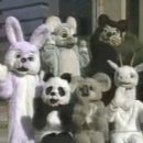 강남-081 이미지