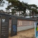 방학동 은행나무 이미지