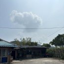 새동네1길 | [충주/민물매운탕] 충주 메기매운탕 애견동반 후기ㅣ 내돈내산 민물매운탕 맛집 강변횟집