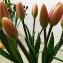 화림농장 이미지