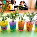 동신파이디온 이미지