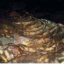 동복마을운동장 이미지