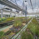 도출목장 이미지