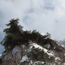 다운목장 이미지