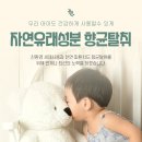 하우스위프_