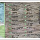 삼척해변 이미지