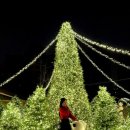 제이문 | 서울 크리스마스트리 명소 제이닷트리팝업 주말방문 후기