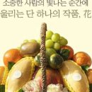 과일달고