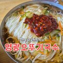 1983영광오뚜기국수집 | 상무지구점심식사 영광오뚜기국수 재방문후기