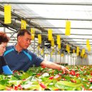 현제농장 이미지