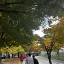 프로스펙스서북 | 제3회 천안 이봉주 마라톤 대회 5km달리기 경품행사 후기