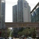 렉슬약국 이미지