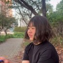 새미 네이버블로그