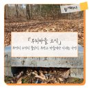 선인마을회관 이미지