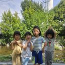 (주) 티피코 이미지