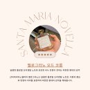 노벨라 별하나 이미지