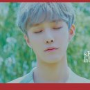 씨아이엑스 카카오 검색결과