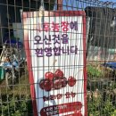 시후농장 이미지