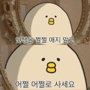 광주여자대학교 | 광주여자대학교 초등특수교육과 2.5학년 시작.