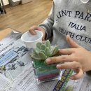 대전대화초등학교 이미지