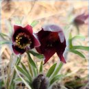 한재공원 이미지