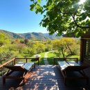 주)미리내힐빙클럽(목욕업2) | 양평 미리내 힐빙클럽 완벽 탐방! 숲속 찜질방부터 힐링 족욕까지 A to Z