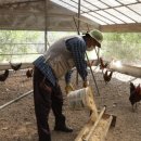 김영일 농장 이미지