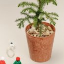 순천만가든 이미지