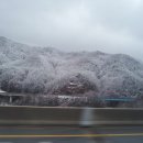 (주)나이스투어 이미지