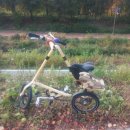 강남대로6길 4 이미지