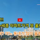 세종아파트 Daum카페