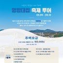 놀자여행사