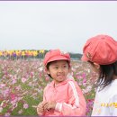 구드래관광지 이미지