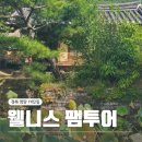 단포리 육교 경관 | 경북 영양 가볼만한곳 1박2일 웰니스투어 (자작나무숲, 서석지, 선바위)