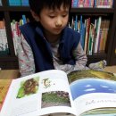 대성당안경 이미지