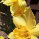 숲속 나들이 펜션 이미지