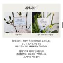 도원스타일 목동점 | [W], 도원스타일 목동점 상견례후기, 상견례 선물 (호접란, 과일바구니) 서브로사, 곤륜코스 🤍