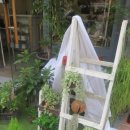 은혜이비인후과의원 이미지