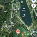 18일 토요일 9시~12시 신월야구장 [우,중,좌,3루,유격,구원] 이미지